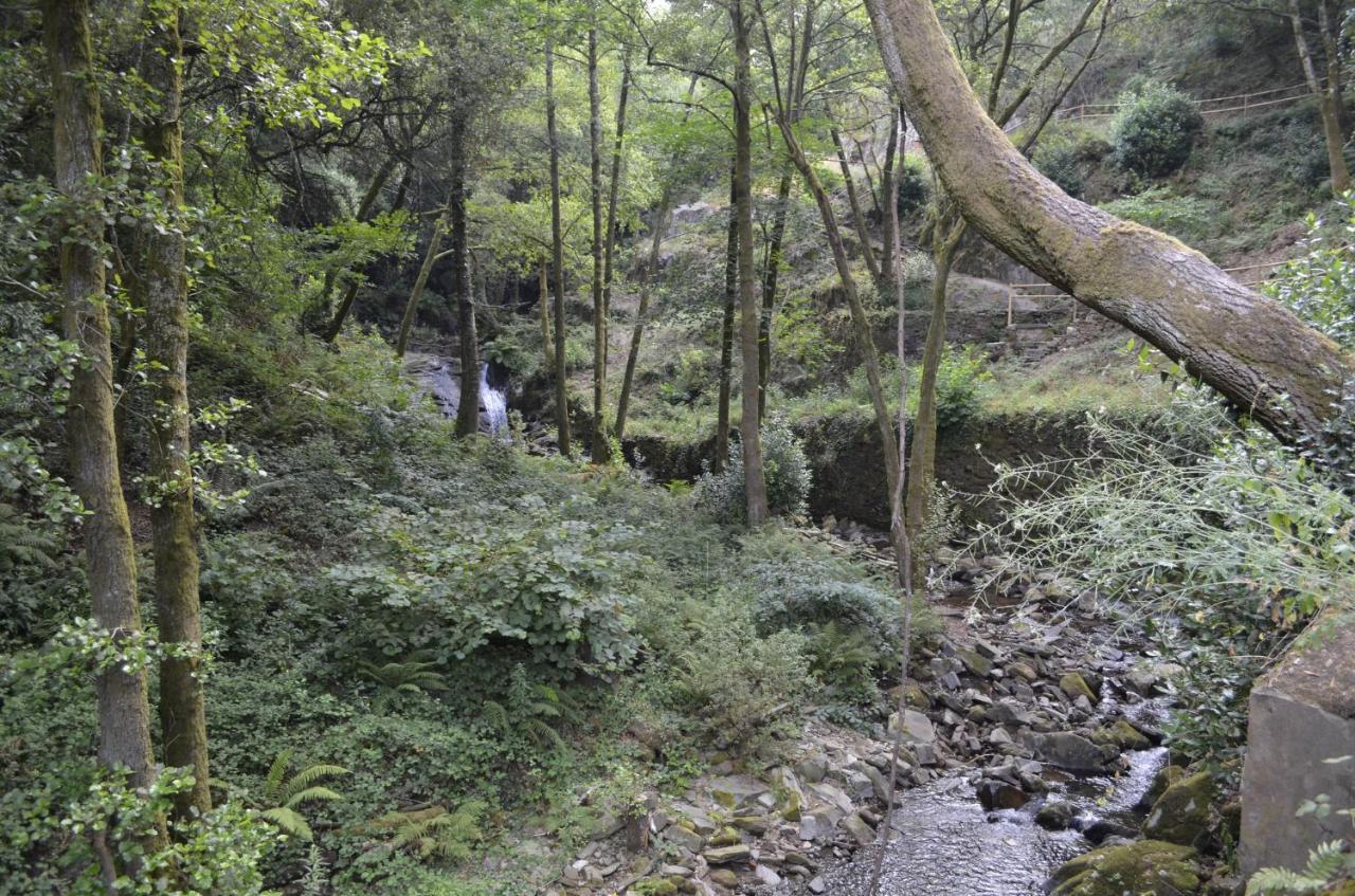 シンファンイス Encosta Do Douro - Rio Douroヴィラ エクステリア 写真