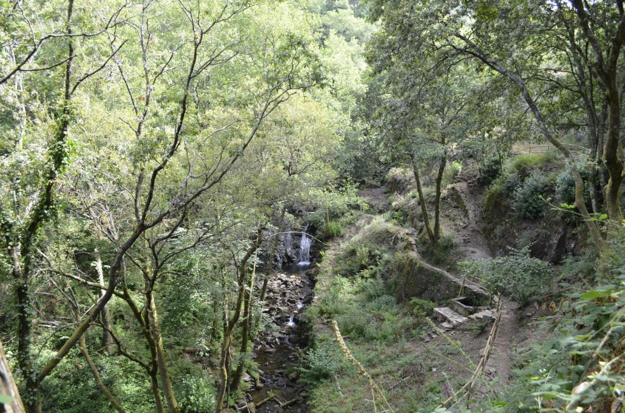 シンファンイス Encosta Do Douro - Rio Douroヴィラ エクステリア 写真