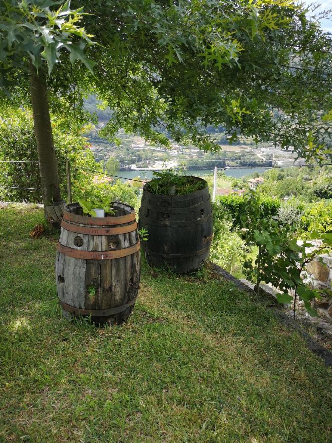 シンファンイス Encosta Do Douro - Rio Douroヴィラ エクステリア 写真